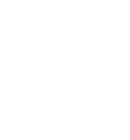 Ico Video Training